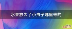 水果放久了小虫子哪里来的