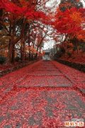 中医跟西医可以同时用吗