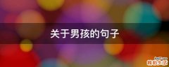 关于男孩的句子