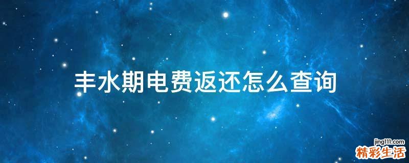丰水期电费返还怎么查询