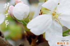 2023年5月12日是什么日子 512是什么节日吗