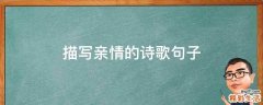 描写亲情的诗歌句子