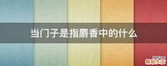 当门子是指麝香中的什么