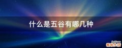 什么是五谷有哪几种