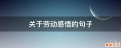关于劳动感悟的句子