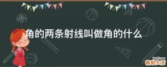角的两条射线叫做角的什么