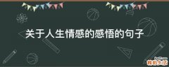 关于人生情感的感悟的句子