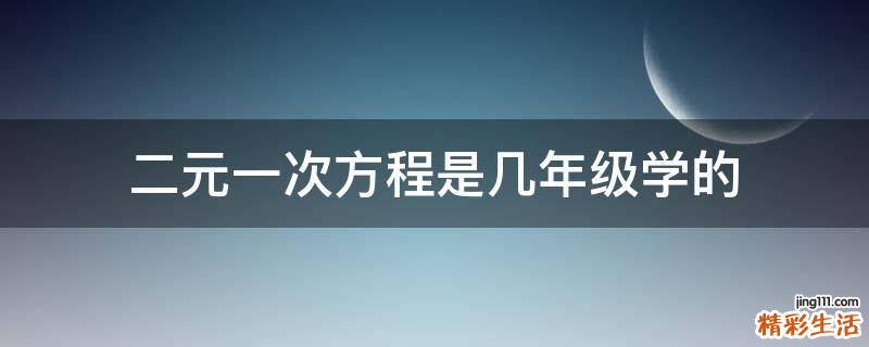二元一次方程是几年级学的