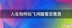人生知何似飞鸿踏雪泥意思