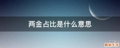 两金占比是什么意思