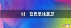 一树一菩提是啥意思