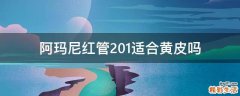 阿玛尼红管201适合黄皮吗