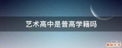 艺术高中是普高学籍吗