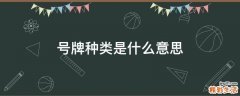 号牌种类是什么意思