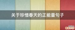 关于珍惜春天的正能量句子