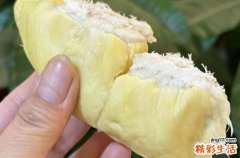 榴莲没熟剥开了怎么办 榴莲肉是硬的还能放软吗