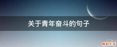 关于青年奋斗的句子