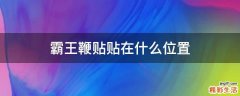 霸王鞭贴贴在什么位置