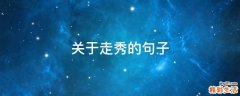 关于走秀的句子