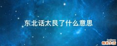 东北话太艮了什么意思