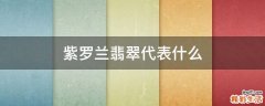 紫罗兰翡翠代表什么