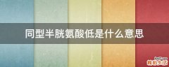 同型半胱氨酸低是什么意思