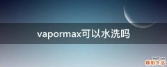 vapormax可以水洗吗