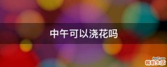 中午可以浇花吗