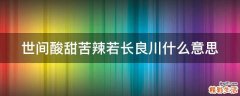 世间酸甜苦辣若长良川什么意思