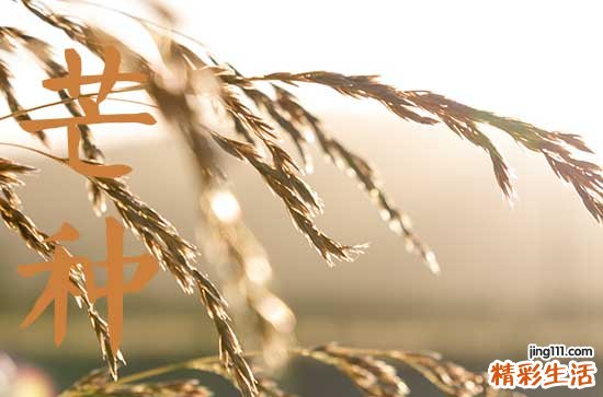 2023芒种是什么时候 2023年芒种是哪天