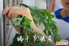 2023端午节亲人微信祝福语