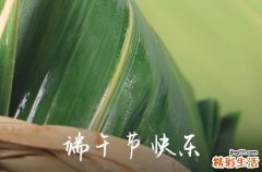 2023描写端午节优美句子简短适合微信发朋友圈
