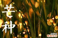 2023年几月份芒种 2023芒种是几月几号