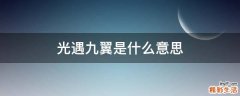 光遇九翼是什么意思