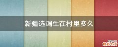新疆选调生在村里多久