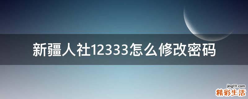 新疆人社12333怎么修改密码