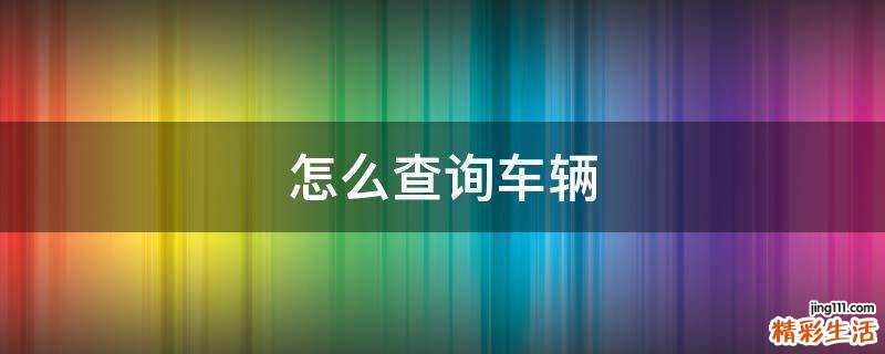 怎么查询车辆