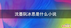 沈墨阮冰思是什么小说