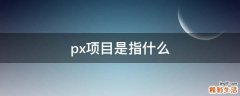px项目是指什么