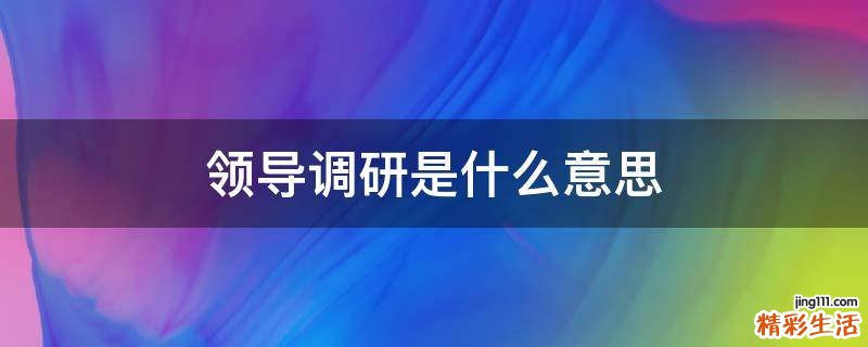领导调研是什么意思