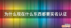 为什么现在什么东西都要实名认证