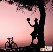 绿豆汤会胖吗