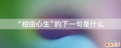 “相由心生”的下一句是什么