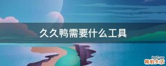 久久鸭需要什么工具