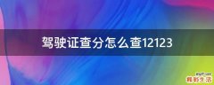 驾驶证查分怎么查12123