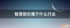 智度股份属于什么行业