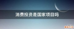 消费投资是国家项目吗