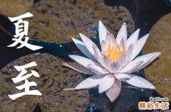 2023夏至季节祝福短信