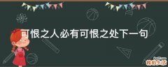 可恨之人必有可恨之处下一句