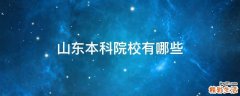 山东本科院校有哪些